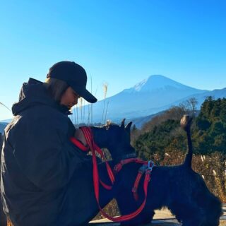 2025年もあと少し一年あっという間ですね💦
今年もたくさんのワンちゃん達に出会え幸せいっぱいの年になりました☺️
ありがとうございます♡
また来年元気にお会いできること、そして新しい出会いを楽しみにお待ちしております❣️
皆様にとって2026年が良い年となりますようまた幸多き年となるようお祈り申し上げます。
良い年をお迎えください✨
#ペットホテル
#ドッグホテル
#おうちホテル
#スコティッシュテリア